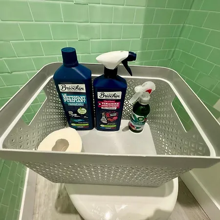 Serenite Aux Nids Du Petit Bois Pour Un Sejour Detente En Charente Maritime Breuillet (Charente-Maritime)